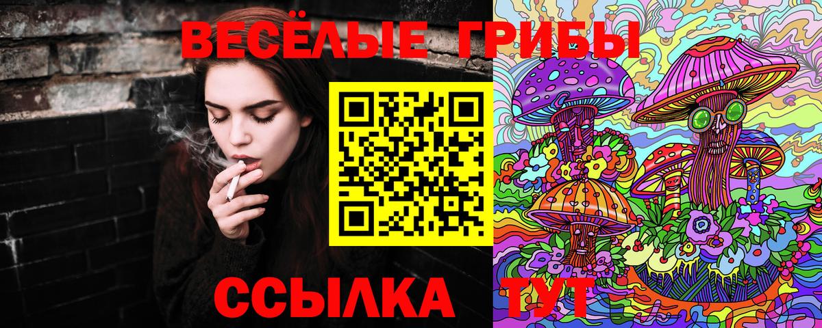 Галлюциногенные грибы прущие грибы Нягань