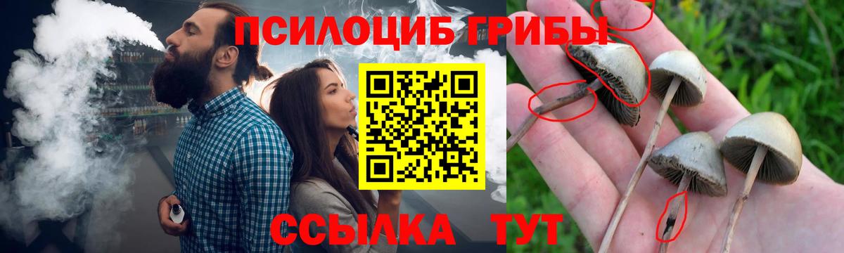 Галлюциногенные грибы Psilocybine cubensis  Псилоцибиновые грибы GOLDEN TEACHER  Вход с VPN  Нягань 